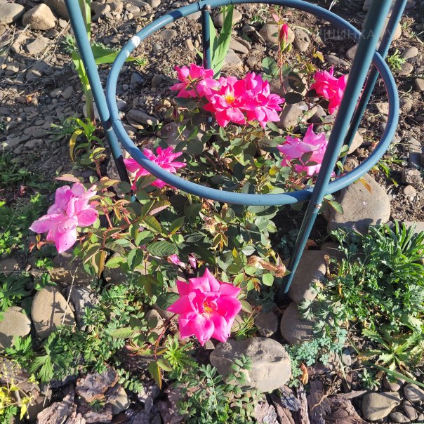 превью изображения отзыва