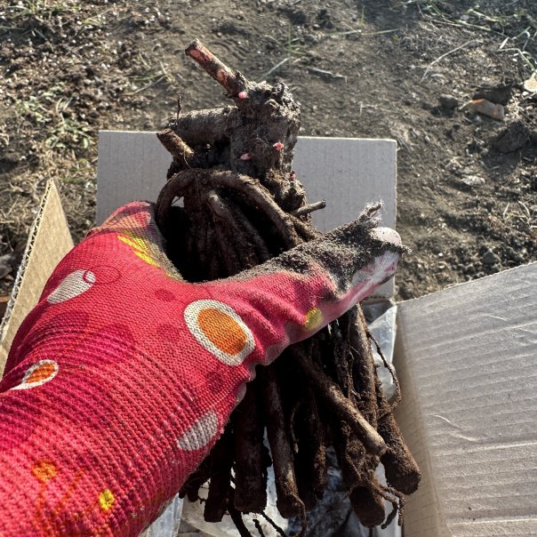 превью изображения отзыва