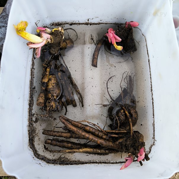 превью изображения отзыва