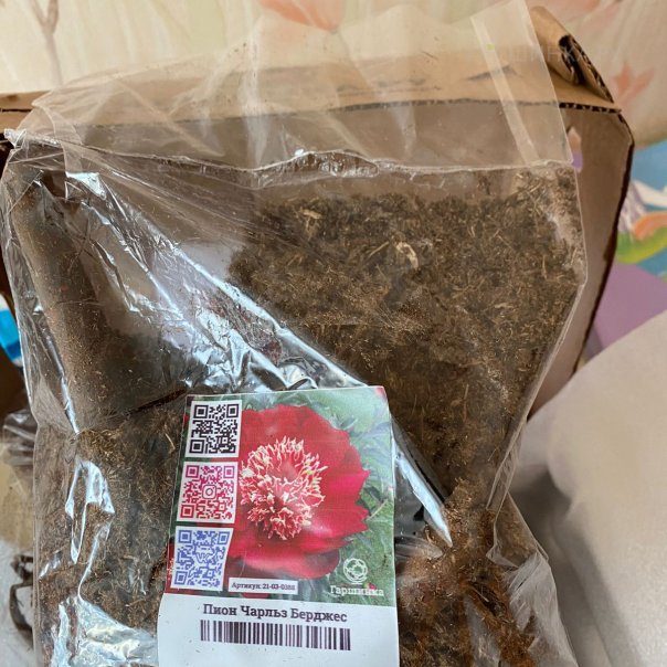 превью изображения отзыва