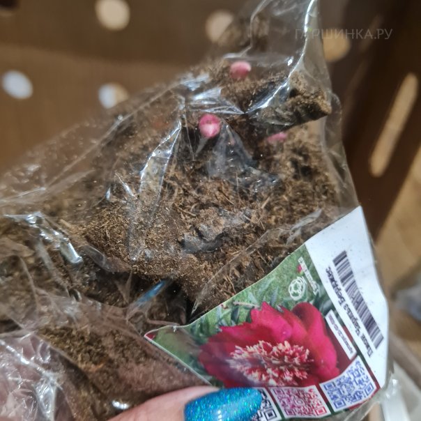 превью изображения отзыва