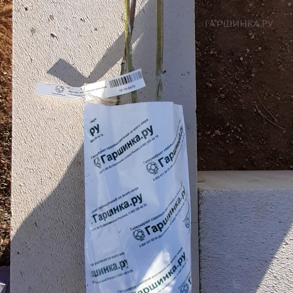 превью изображения отзыва