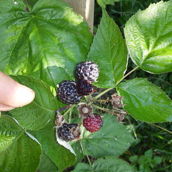 превью изображения отзыва