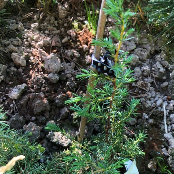 превью изображения отзыва