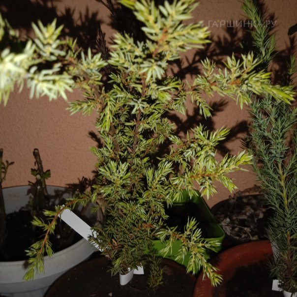 превью изображения отзыва