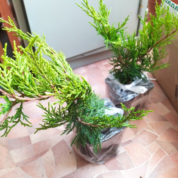 превью изображения отзыва