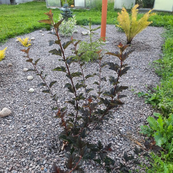 превью изображения отзыва