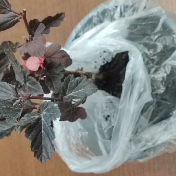 превью изображения отзыва