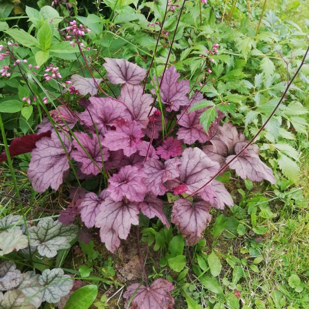 превью изображения отзыва