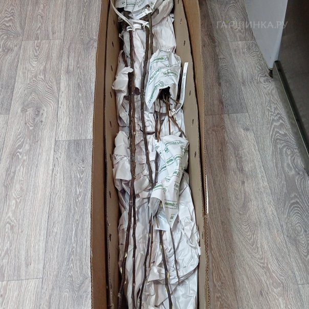 превью изображения отзыва