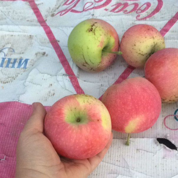 превью изображения отзыва