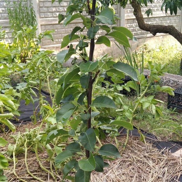 превью изображения отзыва