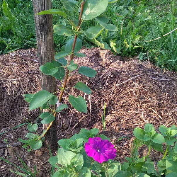 превью изображения отзыва