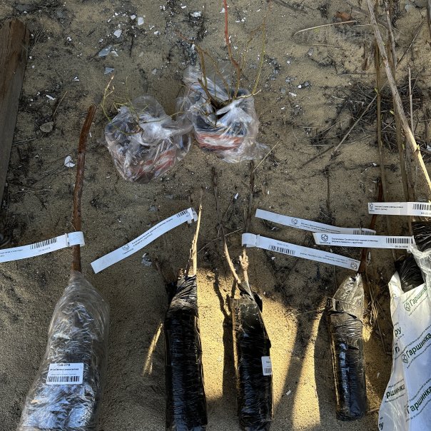 превью изображения отзыва