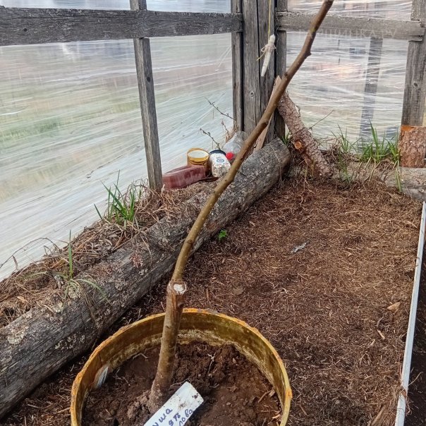 превью изображения отзыва