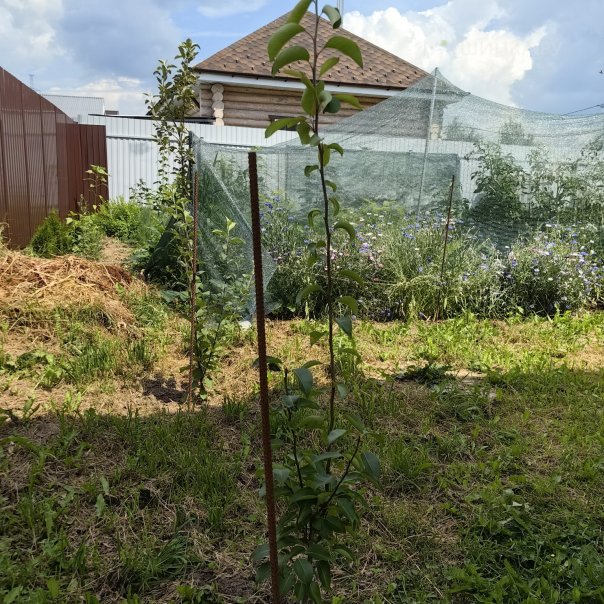 превью изображения отзыва