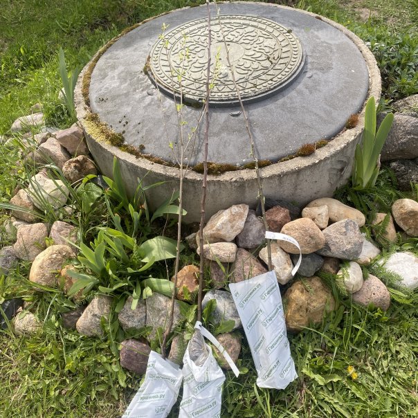 превью изображения отзыва