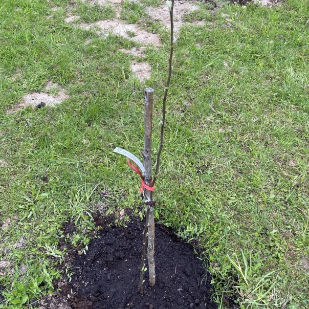 превью изображения отзыва