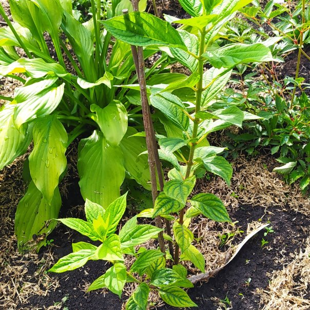 превью изображения отзыва