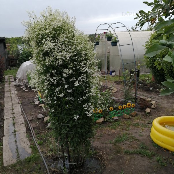 превью изображения отзыва