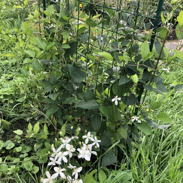 превью изображения отзыва