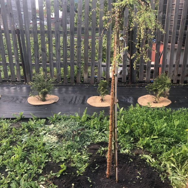 превью изображения отзыва