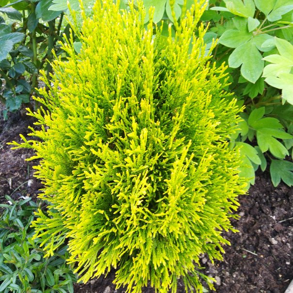 превью изображения отзыва