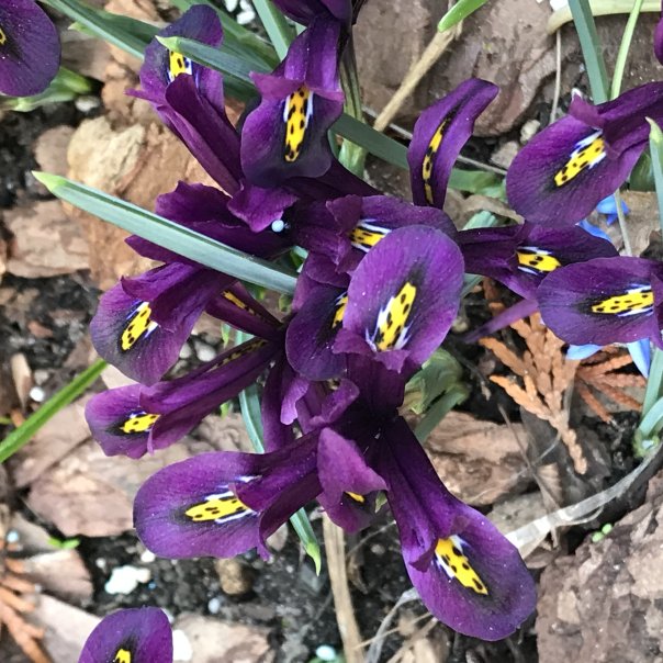 превью изображения отзыва