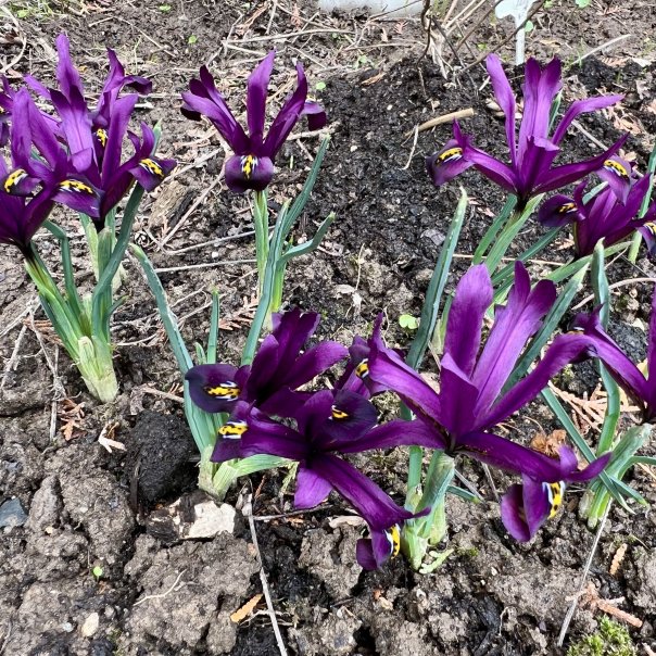 превью изображения отзыва