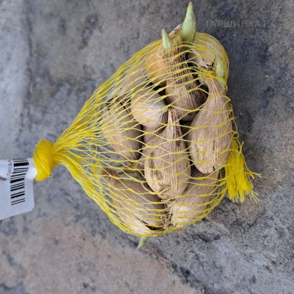 превью изображения отзыва