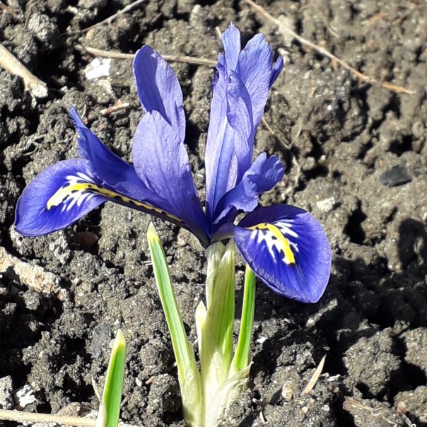 превью изображения отзыва