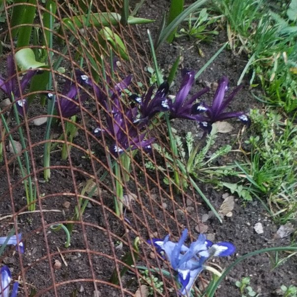 превью изображения отзыва