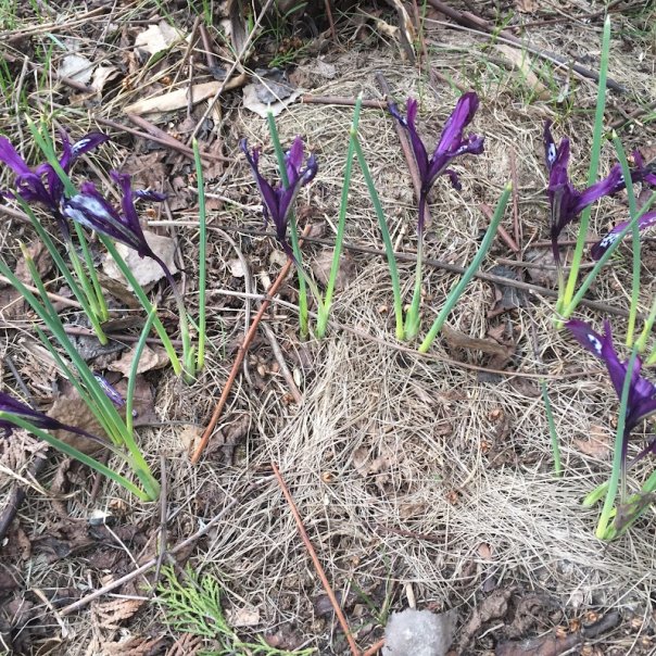 превью изображения отзыва