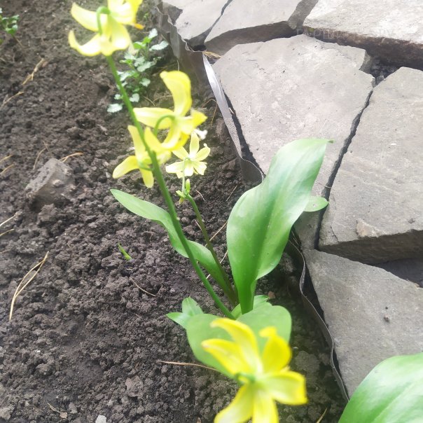 превью изображения отзыва