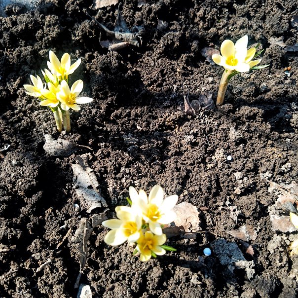 превью изображения отзыва