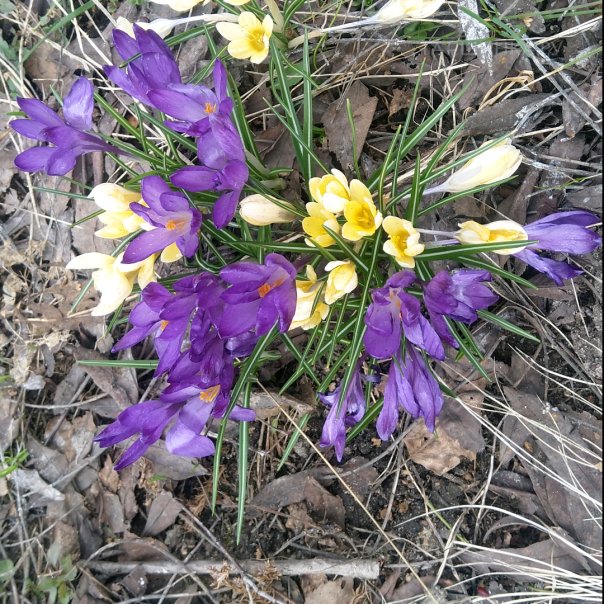 превью изображения отзыва