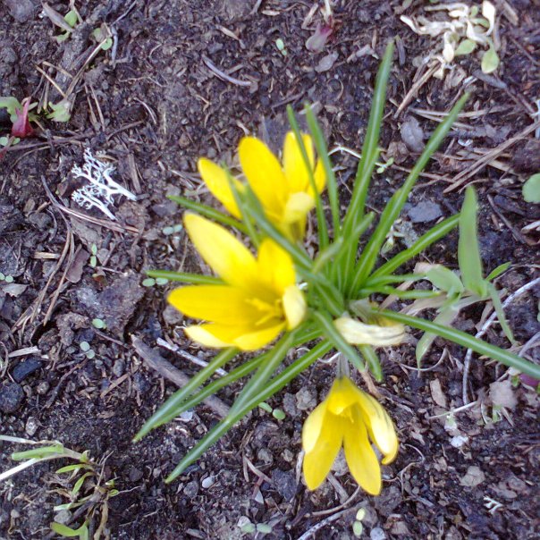 превью изображения отзыва