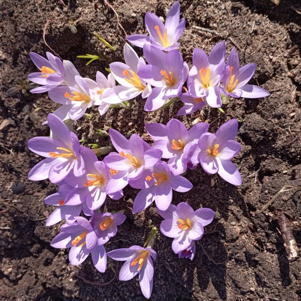 превью изображения отзыва