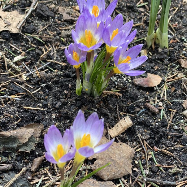 превью изображения отзыва