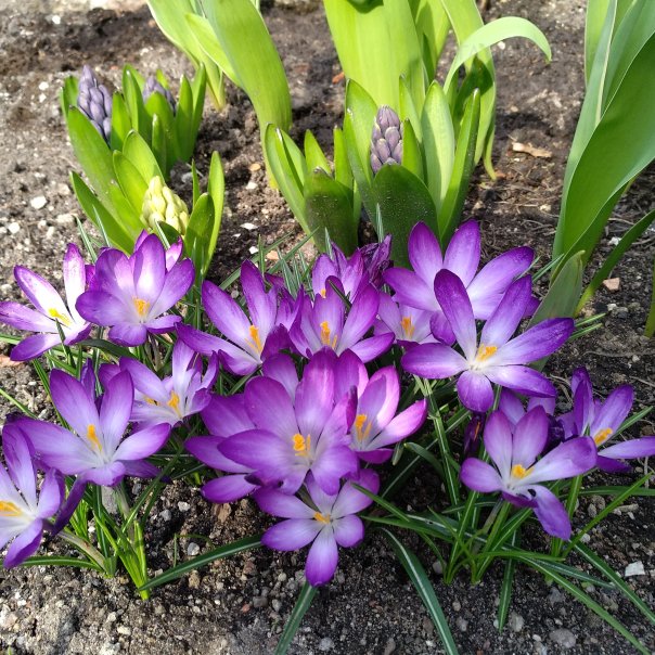 превью изображения отзыва