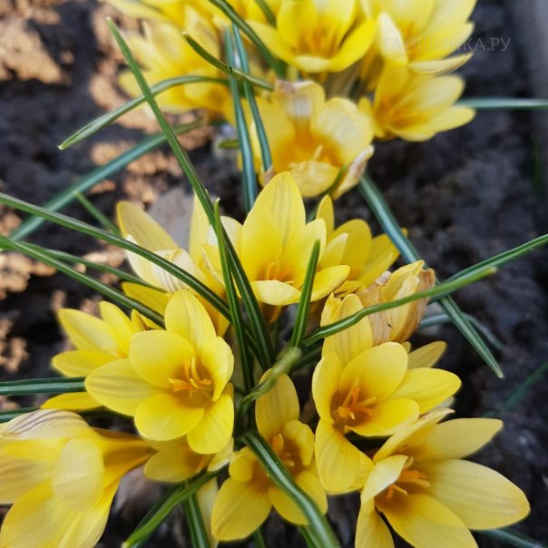 превью изображения отзыва