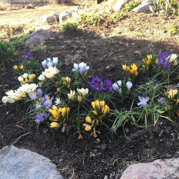 превью изображения отзыва