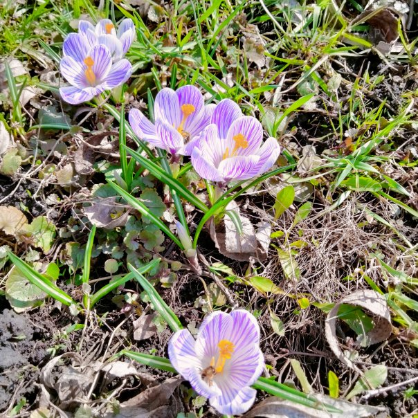 превью изображения отзыва