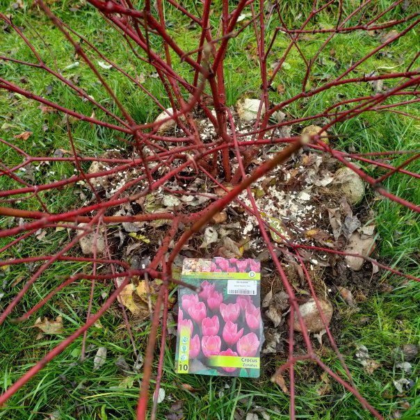 превью изображения отзыва