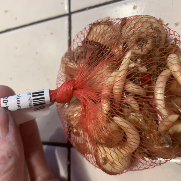 превью изображения отзыва