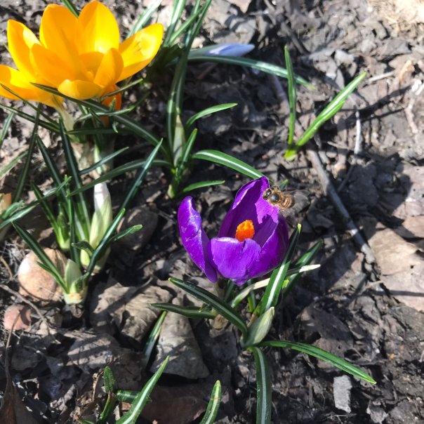 превью изображения отзыва