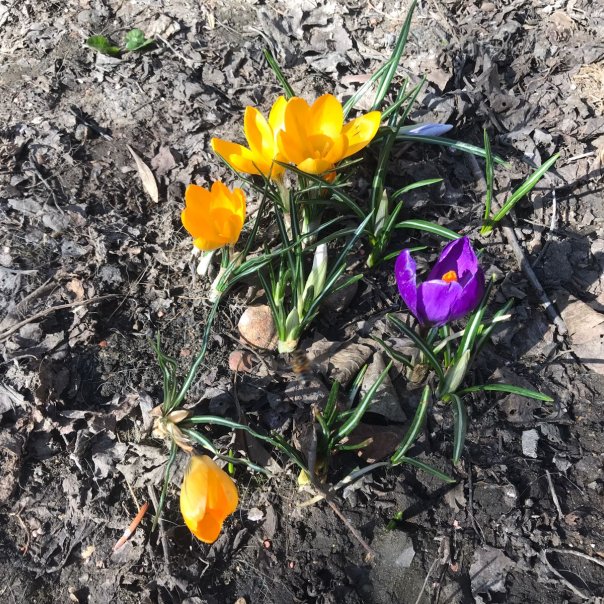 превью изображения отзыва