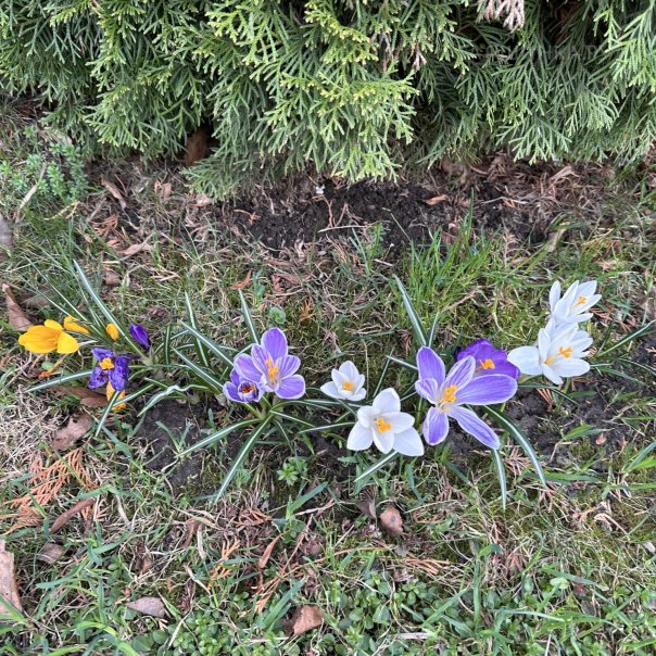 превью изображения отзыва