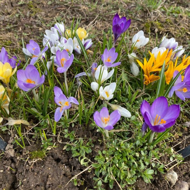 превью изображения отзыва