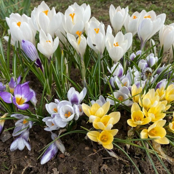 превью изображения отзыва